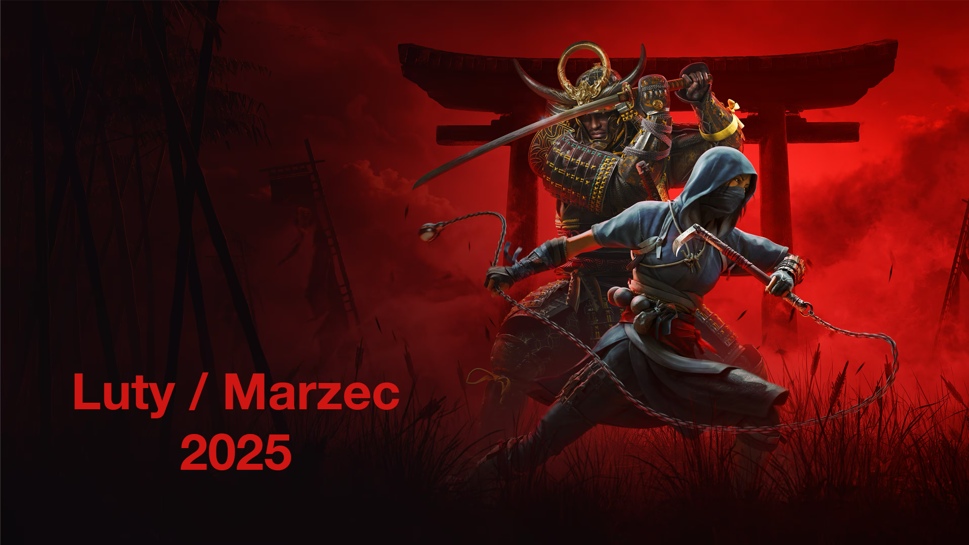 Polecane zestawy komputerowe – luty / marzec 2025